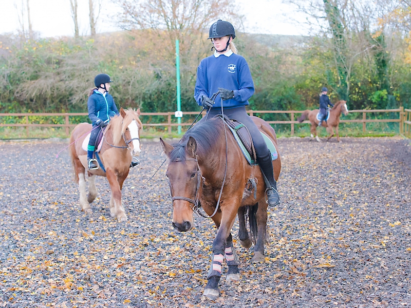 Gallery Snowdonia Riding Stables