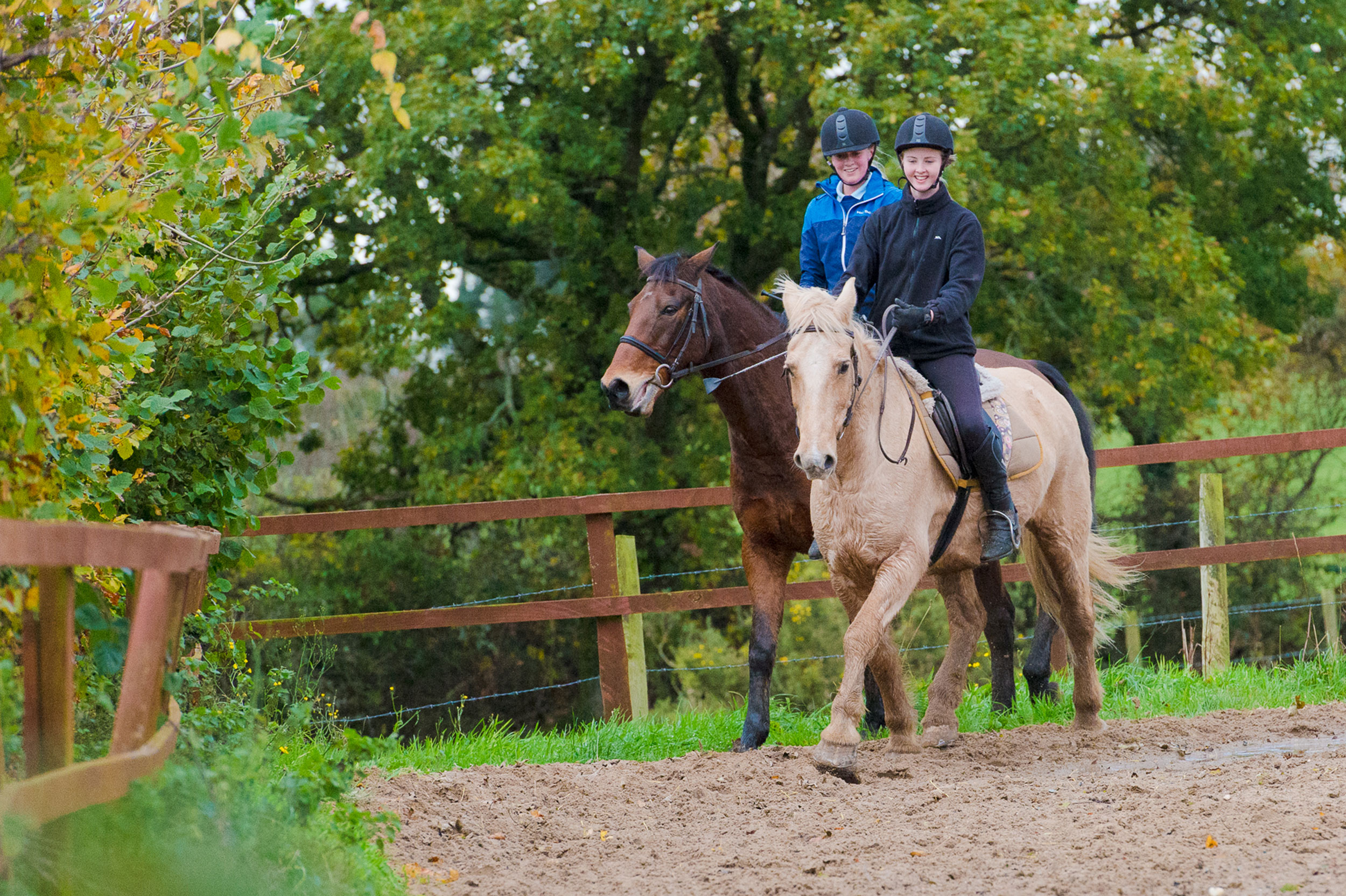 12th November Snowdonia Riding Stables