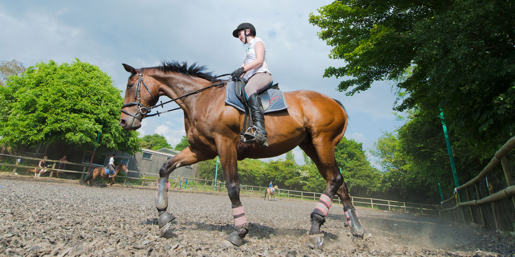 Home Snowdonia Riding Stables