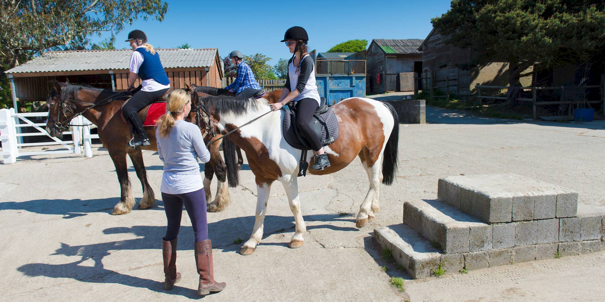 Pony Trekking & Riding