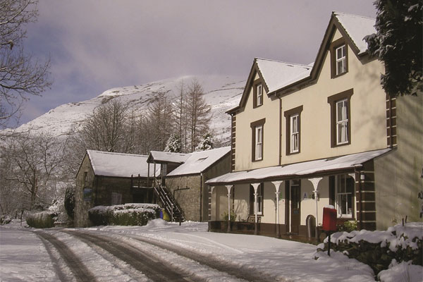 Snowdon Ranger