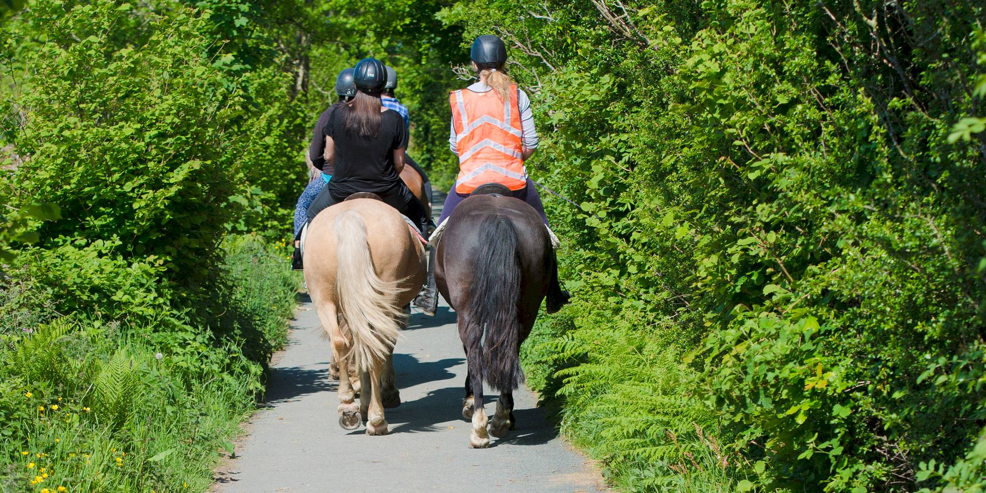 1 Hour Countryside Ride