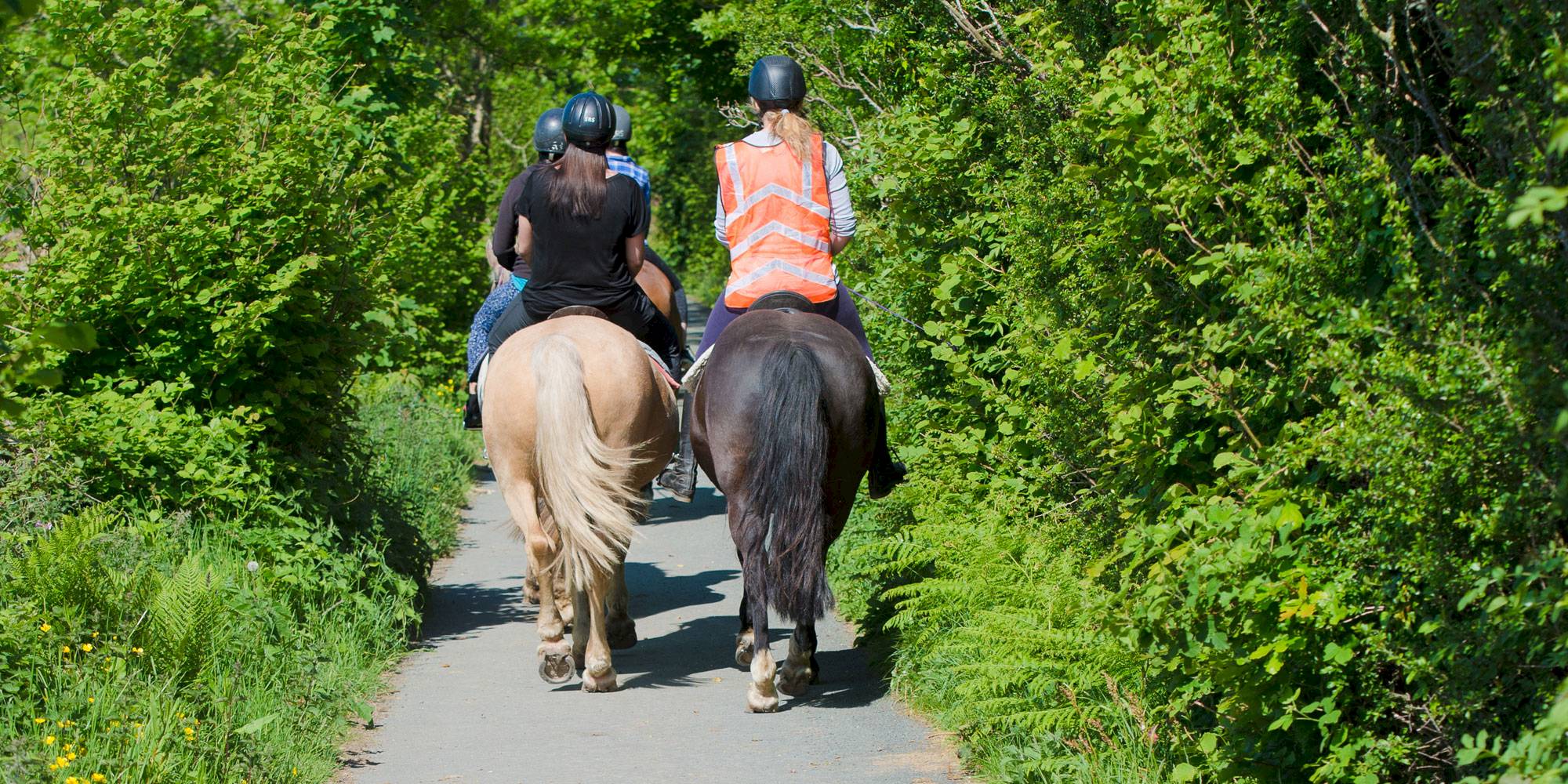 1 Hour Countryside Ride