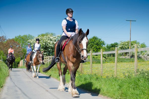 1 Hour Countryside Ride