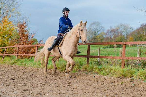 Snowdonia Riding Stables 12th November