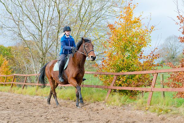 Snowdonia Riding Stables 12th November