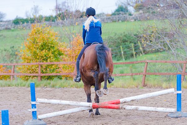 Snowdonia Riding Stables 12th November