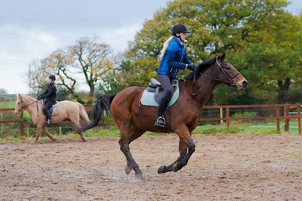 Snowdonia Riding Stables 12th November