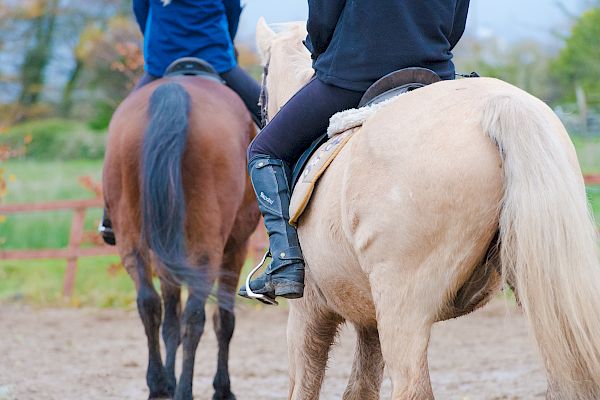 Snowdonia Riding Stables 12th November