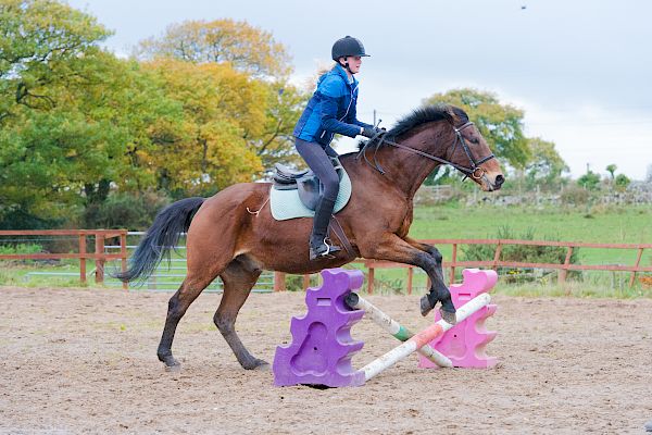 Snowdonia Riding Stables 12th November