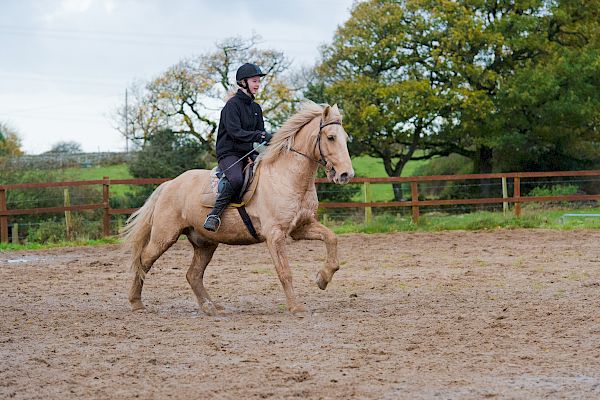 Snowdonia Riding Stables 12th November