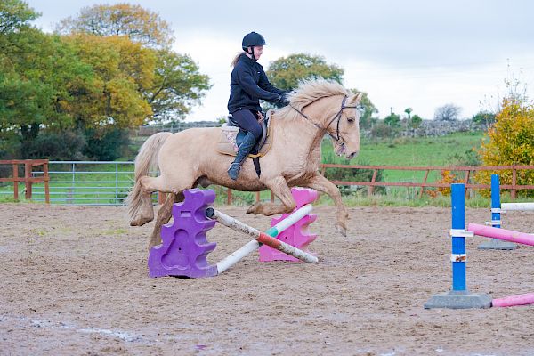 Snowdonia Riding Stables 12th November