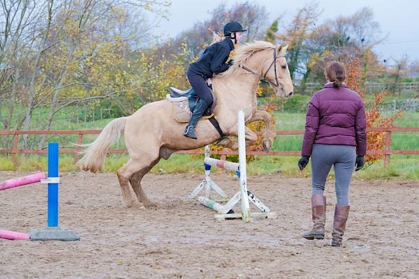 Snowdonia Riding Stables 12th November