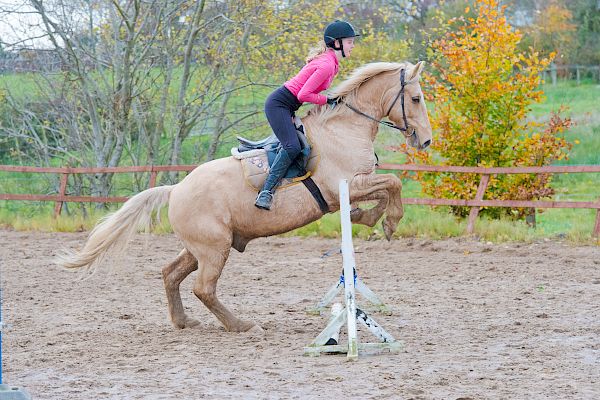 Snowdonia Riding Stables 12th November