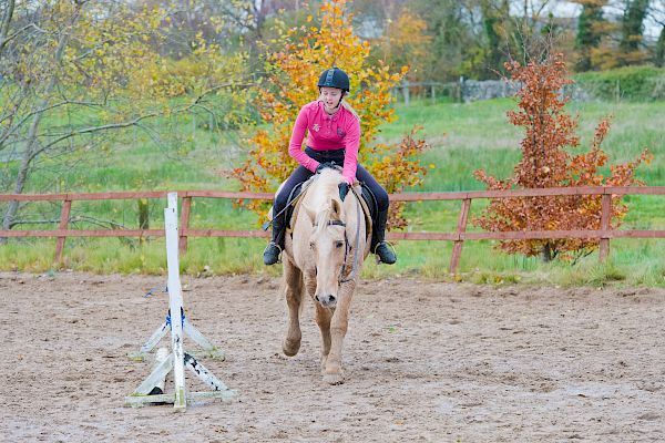 Snowdonia Riding Stables 12th November