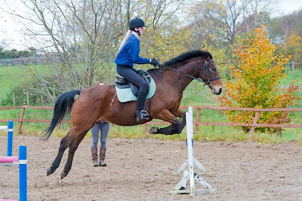 Snowdonia Riding Stables 12th November