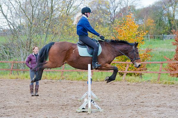 Snowdonia Riding Stables 12th November