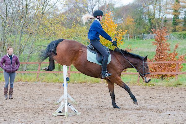 Snowdonia Riding Stables 12th November