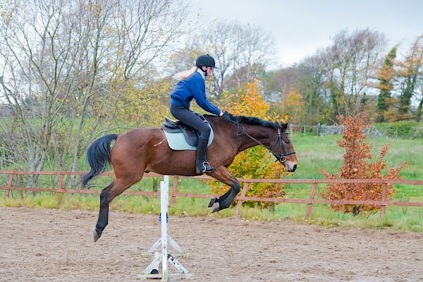 Snowdonia Riding Stables 12th November