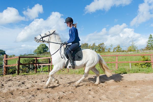 Snowdonia Riding Stables 15th October