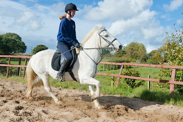 Snowdonia Riding Stables 15th October