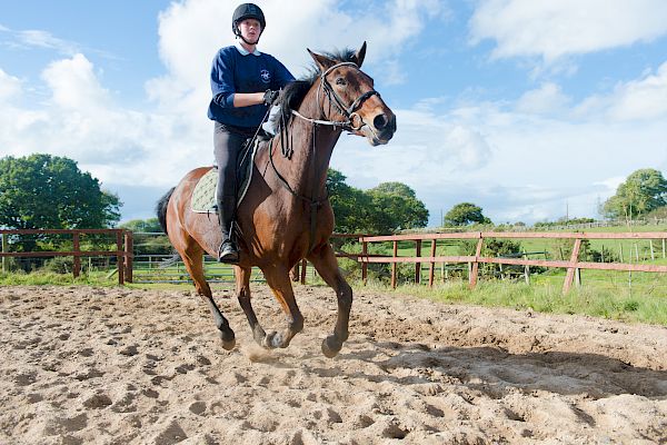 Snowdonia Riding Stables 15th October