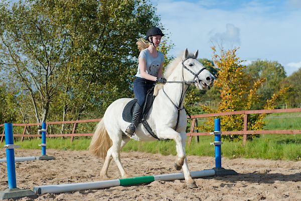 Snowdonia Riding Stables 15th October