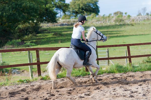 Snowdonia Riding Stables 15th October