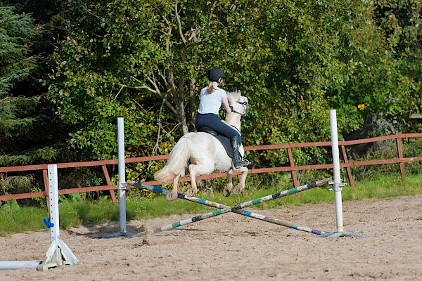 Snowdonia Riding Stables 15th October