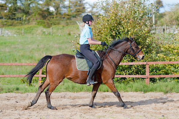 Snowdonia Riding Stables 15th October