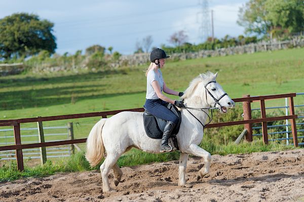 Snowdonia Riding Stables 15th October