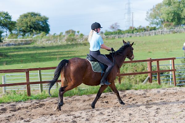 Snowdonia Riding Stables 15th October