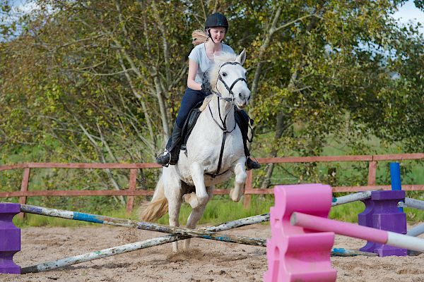 Snowdonia Riding Stables 15th October