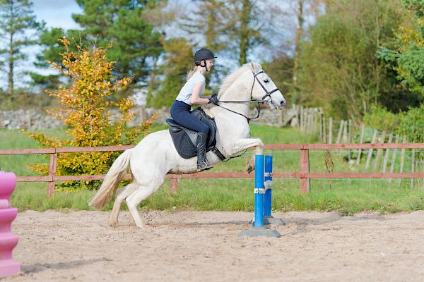 Snowdonia Riding Stables 15th October