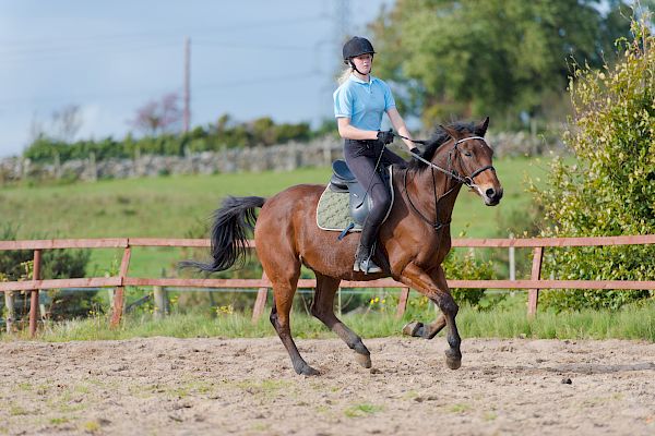 Snowdonia Riding Stables 15th October