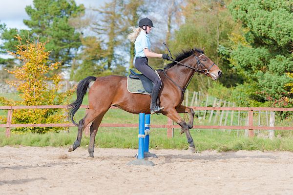 Snowdonia Riding Stables 15th October