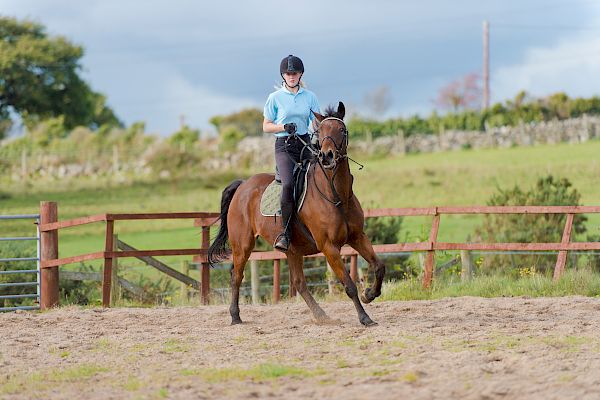 Snowdonia Riding Stables 15th October