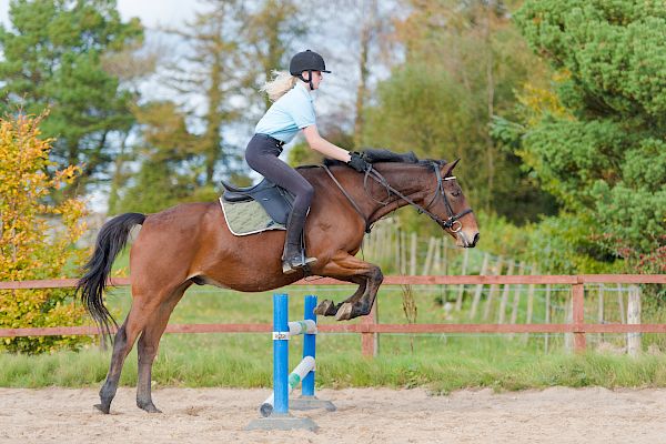 Snowdonia Riding Stables 15th October