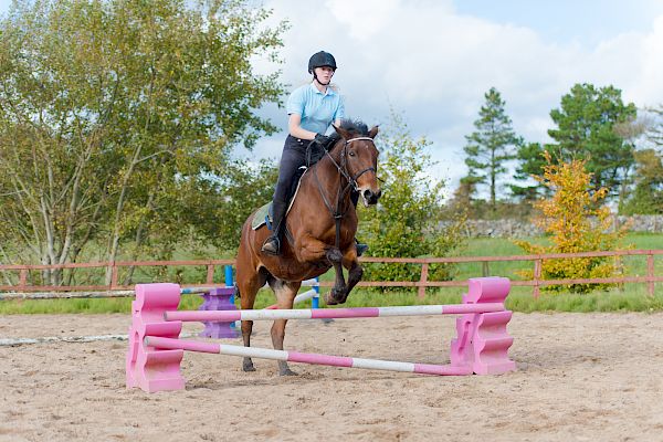 Snowdonia Riding Stables 15th October