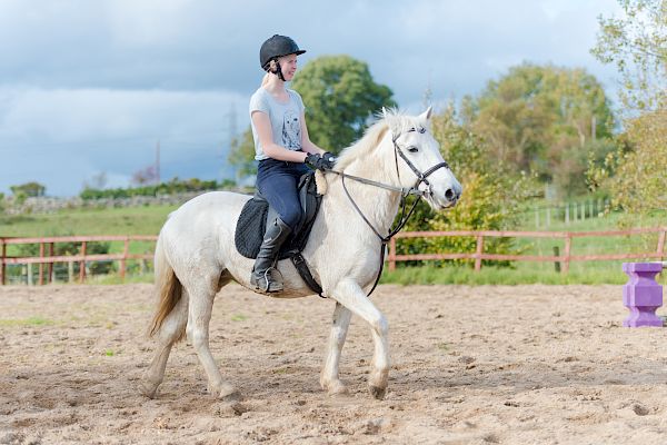 Snowdonia Riding Stables 15th October