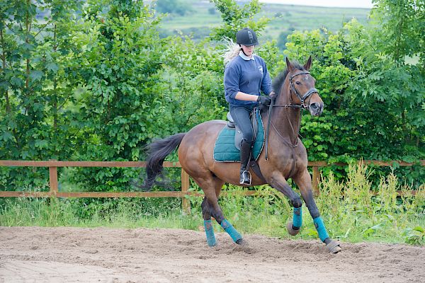 Snowdonia Riding Stables Taylor Croke Show Jumping Clinic