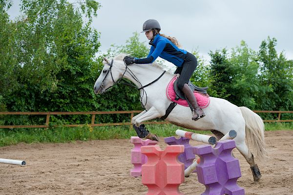 Snowdonia Riding Stables Taylor Croke Show Jumping Clinic