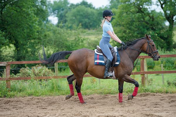 Snowdonia Riding Stables Taylor Croke Show Jumping Clinic