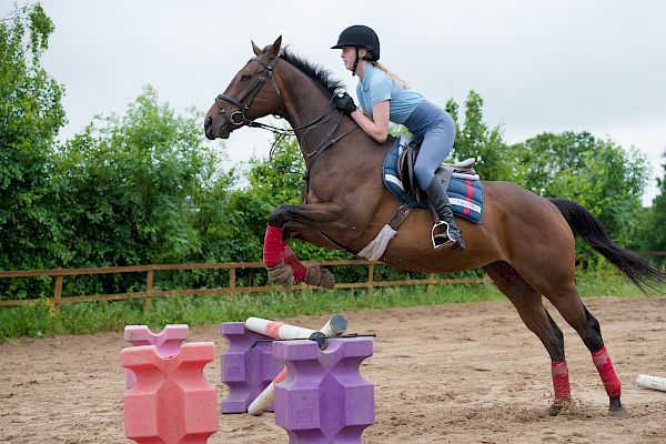 Snowdonia Riding Stables Taylor Croke Show Jumping Clinic