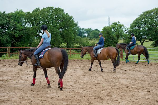 Snowdonia Riding Stables Taylor Croke Show Jumping Clinic