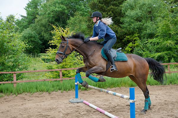 Snowdonia Riding Stables Taylor Croke Show Jumping Clinic