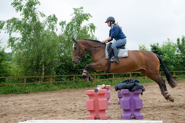 Snowdonia Riding Stables Taylor Croke Show Jumping Clinic