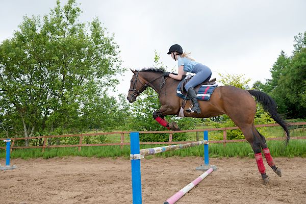 Snowdonia Riding Stables Taylor Croke Show Jumping Clinic