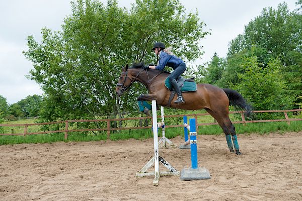 Snowdonia Riding Stables Taylor Croke Show Jumping Clinic