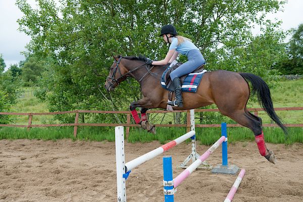 Snowdonia Riding Stables Taylor Croke Show Jumping Clinic